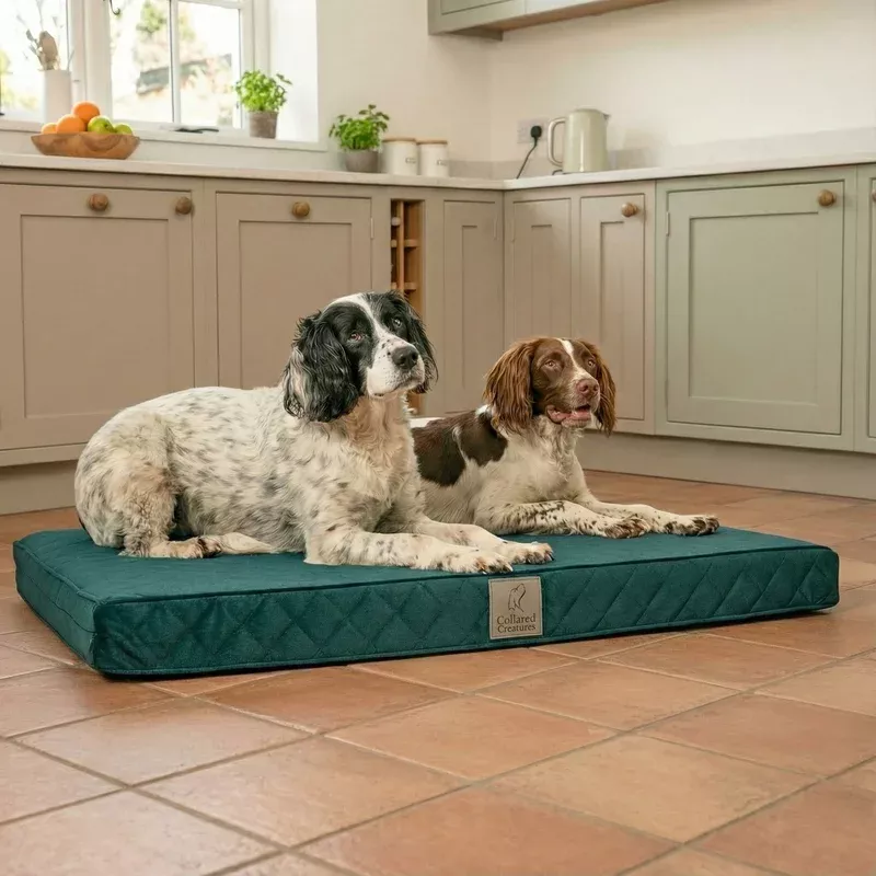 teal-velour-luxury-mattress-dog-bed Teal Velour Luxury Mattress Dog Bed