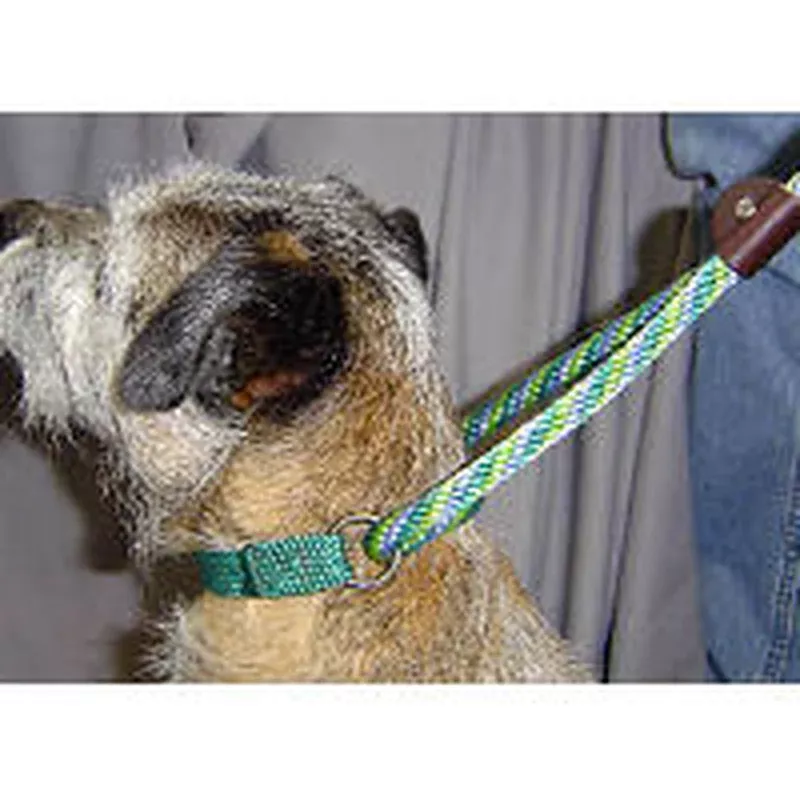 twist-martingale-dog-walker Twist Martingale “Dog Walker”
