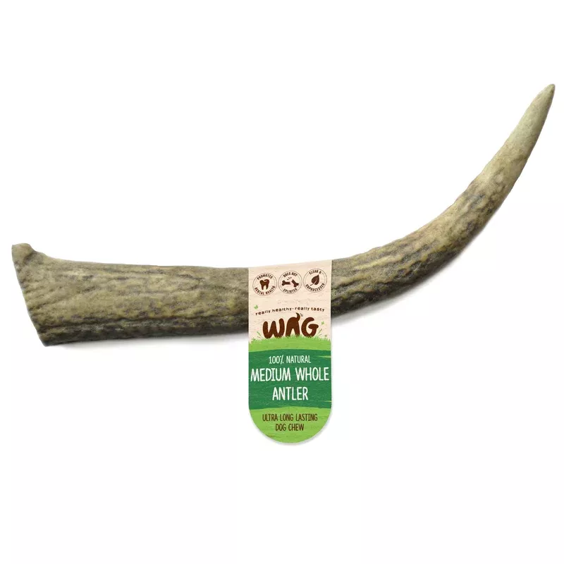 wag-whole-antler-medium-dog-chew-treat Wag Whole Antler Medium Dog Chew Treat