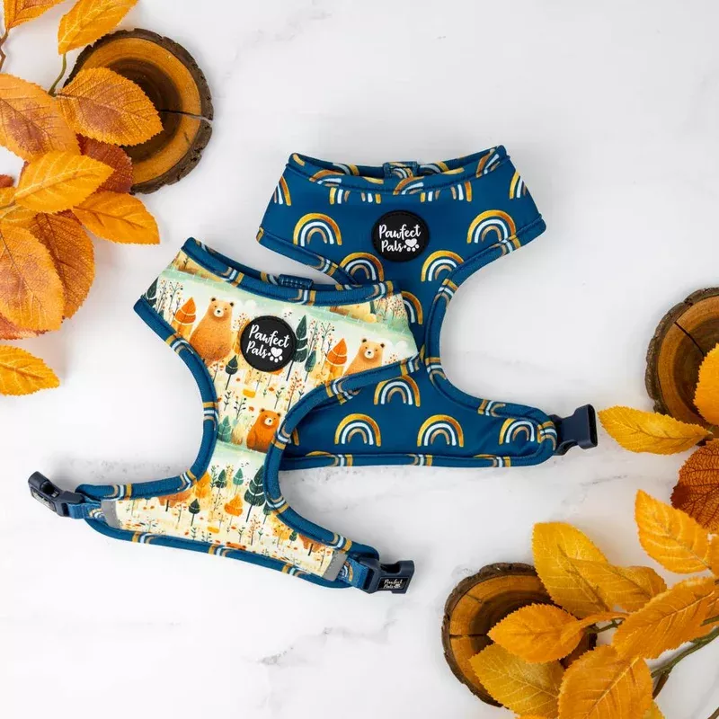 Wild at Heart – Reversible Dog Harness