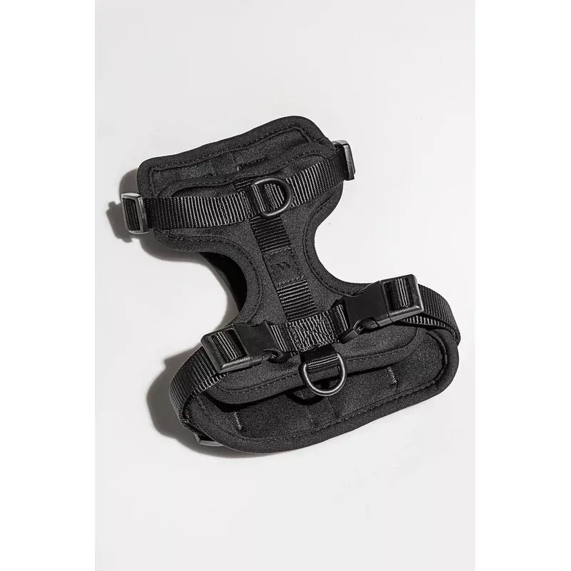 wild-one-black-dog-harness Wild One Black Dog Harness