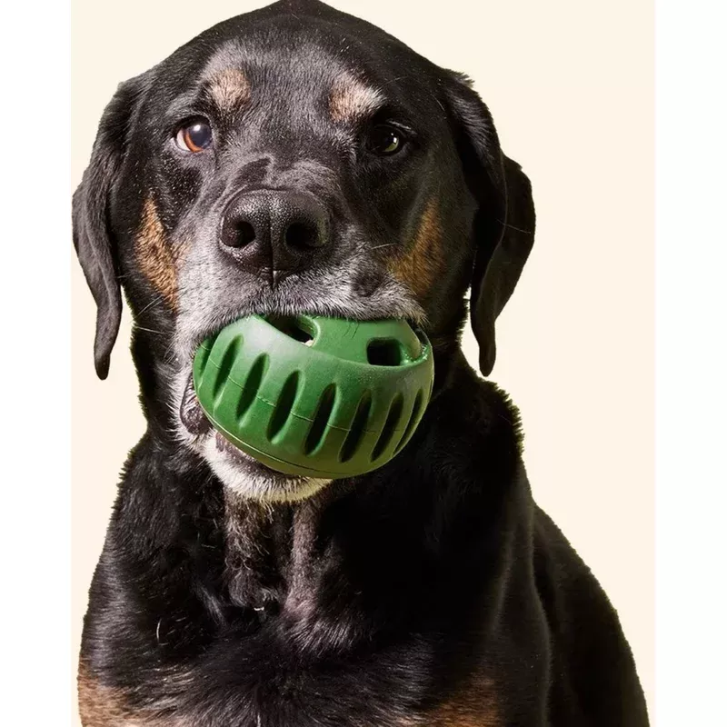 The Woof Pupsicle