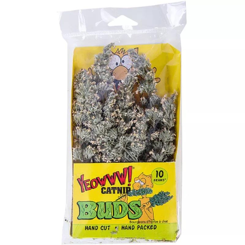 yeowww-cat-catnip-buds Yeowww! Cat Catnip Buds